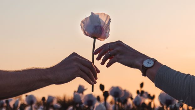Stel wandelt hand in hand op een romantische plek in Time bij zonsondergang