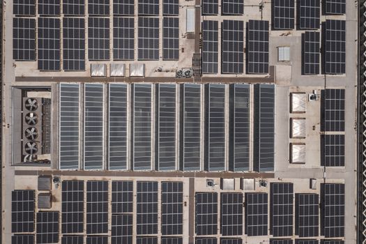 Sedumdak op een plat dak met zonnepanelen en onderhoudsvriendelijke groendakbeplanting