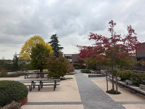 Onderhoudsarme tuin zonder gras in Time met grind, beplanting en een strak terras